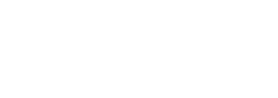 wise wheels